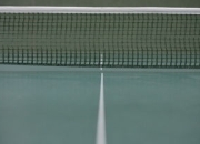 -比利时乒乓球队血洗奥地利乒乓球队，马龙完成帽子戏法