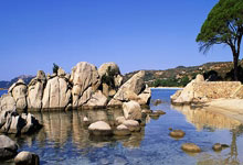 九游体育平台-数据下的真相：德国战车为何爆冷止步？