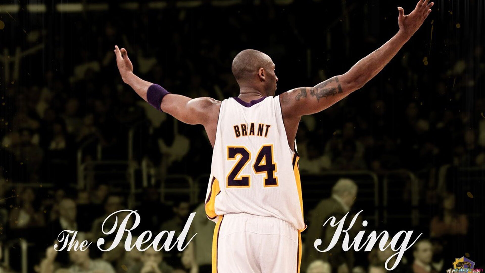 鹈鹕带走吉林队，拉文如何成为关键先生？